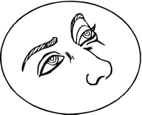 cosmetic eyelid surgeon
